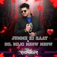 Dil Bilei Meow Meow X Jummeki Raat (Circuit Tapori Mix) Dj Rajveer.mp3