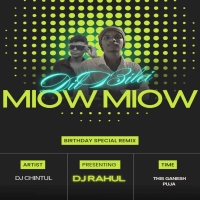 DIL BILEI MEOW MEOW (DANCE MIX) DJ RAHUL KONARK.mp3