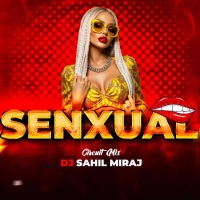 SENXUAL (CIRCUIT MIX) DJ SAHIL MIRAJ.mp3