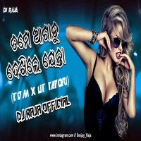 Tame Aagaru Dekhile Jenta (Edm Ut Tapori Mix) Dj Raja Official.mp3