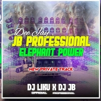 Dj Jb Professional Elephant Power Dj Liku Official.mp3