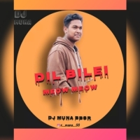 DIL BILEI MEOW MEOW (ODIA DANCE MIX) DJ MUNA BBSR.mp3