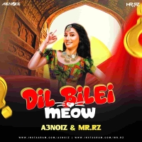Dil Bilei Meow Meow (Mashup Remix) A3Noiz Ft Mr Rz.mp3