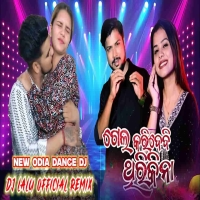 Arua Chaula Chuna Tate Gela Karidebi Thiri Kina (New Odia Dance Song) Dj Lalu Official.mp3