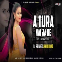 A Tura Nai Ja Re (Edm Circuit Mix) Dj Abishek Jharkhand.mp3