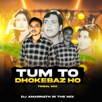 Tum Toh Dhokhebaaz Ho (Tribal Mix) Dj Amarnath.mp3