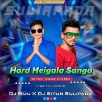 Hard Heigala Sanga (Tapori Vibration Mix) Dj Situn X Dj Biju.mp3
