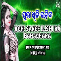 Rohi Sange Elishi Ra Bahaghara (Edm X Circuit) Dj Lalu Official.mp3