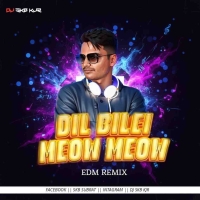 DIL BILEI MEOW MEOW (EDM TAPORI MIX) DJ SKB KJR.mp3