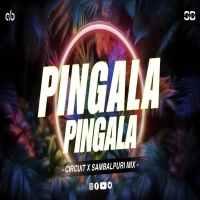 Pingala Pingala (Circuit Sambalpuri Mix) Dj Ab Broz.mp3