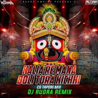 Kalia Re Mana Boli Tora (Cg Tapori Mix) Dj Rudra Empire.mp3