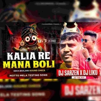 Kaliare Mana Boli (Odia Bhajan Sound Check) Dj SarZen X Dj Liku Official.mp3