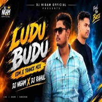 Ludu Budu (Sambalpuri Edm X Trance Mix) Dj Nigam X Dj Rahul.mp3