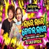 Lare Lare Botol Lare (Odia Dance Remix) Dj Lalu Official