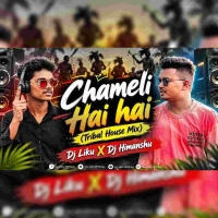 Chameli Hai Hai (Old Sambalpuri Tribal House Mix) Dj Liku X Dj Himanshu.mp3