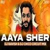 Aaya Sher (Circuit Mix) DJ Ravish X DJ Chico