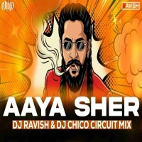 Aaya Sher (Circuit Mix) DJ Ravish X DJ Chico.mp3